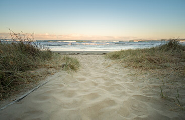 Sandy Pathway Leading to Beach through Coastal Grass at Orewa in Auckland New Zealand