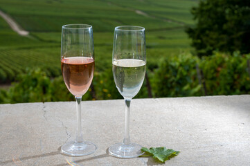 Glasses of white and rose brut champagne wine and view on grand cru vineyards of  Montagne de Reims near Verzenay, Champagne, France