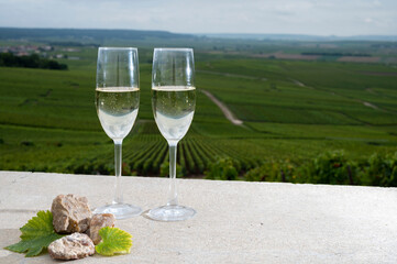 Glasses of brut champagne wine, firestones from vineyards soil and view on grand cru vineyards of Montagne de Reims near Verzenay, Champagne, France