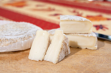 Taste of Provence, small round cheese Tome de Provence made from goat milk in Banon, Alpes-de-Haute-Provence, France