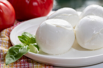 Cheese collection, fresh Italian soft cheese mozzarella di bufal campana served with fresh basil and tomatoes