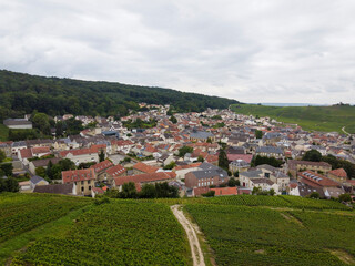 Fototapeta na wymiar View on lighthouse and green pinot noir grand cru vineyards of famous champagne houses in Montagne de Reims near Verzenay, Champagne, France