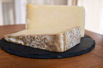 Cheese collection, hard French cheese old cantal made from raw cow milk with rind