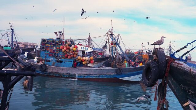Small fishing boats moored on coast at port. Wooden fishing boats moored in a harbour. Essaouira fishing village. 