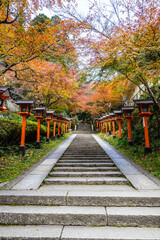 A lantern lined path with stairs leading up the the Kurama-dere Temple north of Kyoto, Japan on a fall morning.