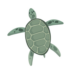 Turtle character. Green sea or ocean tortoise swimming. Wildlife animal in shell. Flat vector illustration isolated on white background