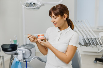 Dentist demonstrate mock-up of human jaws and explain caries prevention and treatment. Close-up of teeth model in doctor hands. Concept photo on dental theme.