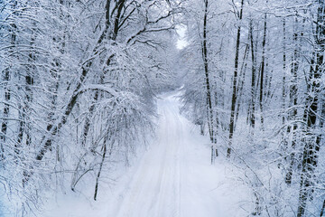 A winter road in a snowy forest. Beautiful winter landscape
