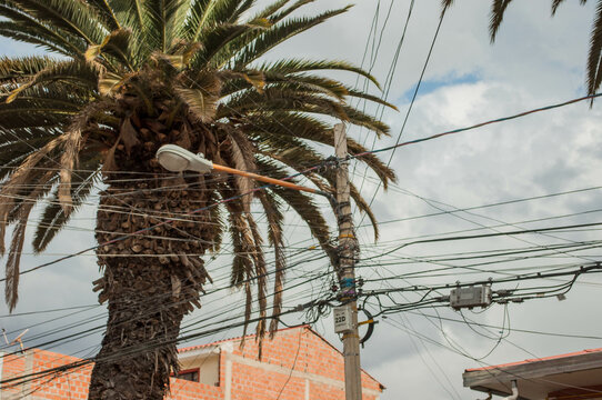 cables caos enredo 