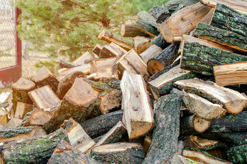 Industrial timber wood for carpentry, building or repairing, lumber material for roofing construction. stack natural chopped dry trunks, Fire logs prepared for winter, ready for burning