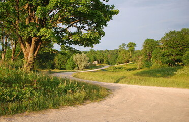 Road bend and trees on a sunny spring evening, Embute, Latvia
