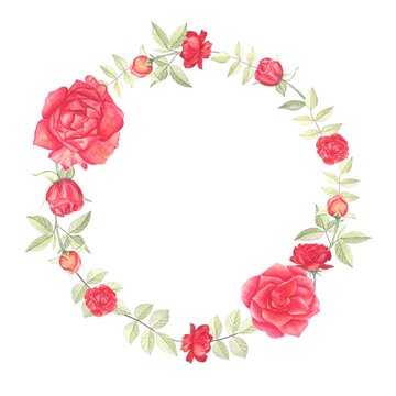 Wreath, frame, border.Summer round wreath of red roses with leaves. Hand-drawn watercolor illustration.