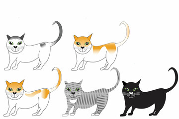 Five Neutered Feral Cats