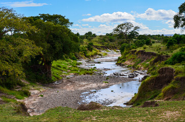 A dry river bed in the savannah, Masai MAra, Kenya, Africa