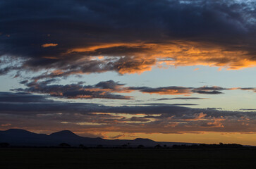 Sunset in the savannah, Amboseli, Kenya, Africa