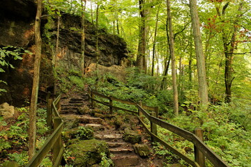 Rock path leading up a cliff in a forest