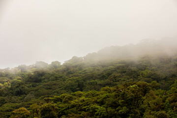 Misty landscape in Monteverde, CostaRica