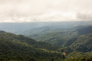 Fototapeta premium Misty landscape in Monteverde, CostaRica