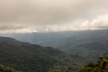 Fototapeta premium Misty landscape in Monteverde, CostaRica
