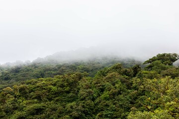 Fototapeta premium Misty landscape in Monteverde, CostaRica