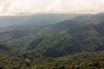 Obraz premium Misty landscape in Monteverde, CostaRica