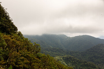 Obraz na płótnie Canvas Misty landscape in Monteverde, CostaRica