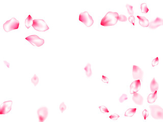 Spring blossom isolated petals flying