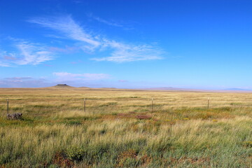 Field of grass with blue sky
