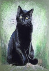 Portrait of a black cat on a green background. Drawing in color with pastels. Cat depicted in sitting position.