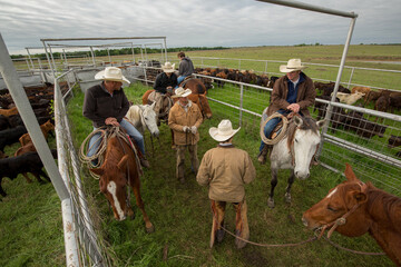Cowboy, rancher, cattleman and wrangler, most on horseback, talking over plans during roundup in...