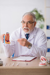 Old male doctor dentist working in the clinic