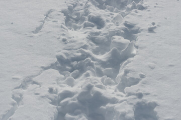 pure snow with footprints