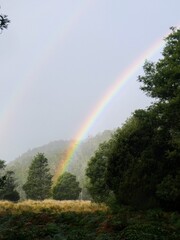 Rainbow over Tasmanian countryside