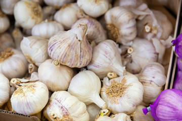 Many of garlic laid out in a crate for sale in a store on the counter