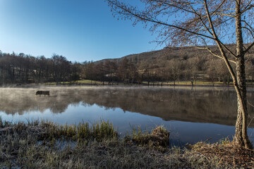 Lissac sur Couze (Corr&egrave;ze, France) - Brume matinale hivernale sur le lac du Causse