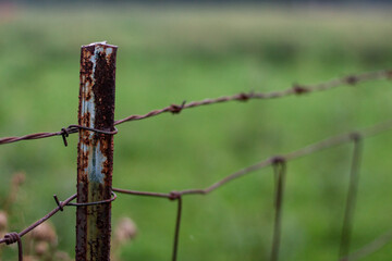 old barbed wire fence