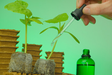 Fertilizer for seedlings. Seedling root system activator in a green bottle, a cucumber plant and a pipette in a man's hand on a green background.Growth energy for plants.Plant breeding. - obrazy, fototapety, plakaty