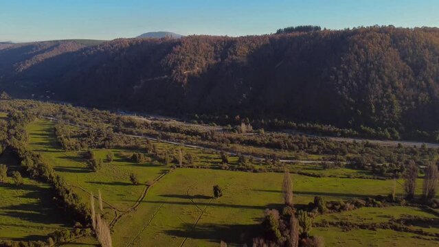 Monta&ntilde;as de pino y prados verdes en praderas.