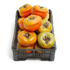 persimmon on a white background