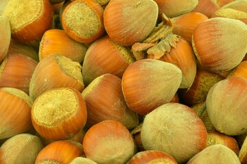 Hazelnuts as background. High quality photo, macro image. Flat lay