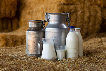 Jug, cans and glass with milk on hay stacks at farm