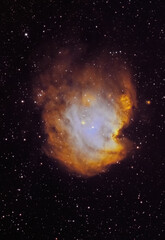 The Monkey Head nebula, NGC 2174 is an H II emission nebula located in the constellation Orion. It is thought to be located about 6,400 light-years away from Earth. 