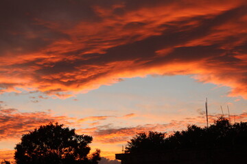 Obraz premium Hermoso atardecer con silueta de árbol bajo de él.