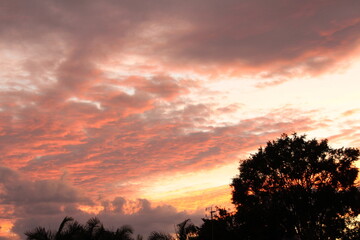 Hermoso atardecer  con silueta de árbol bajo de él.