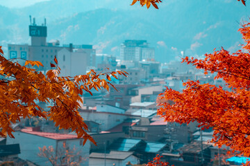 View of japanese town from inside of forest with orange and red foliage