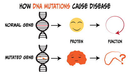 DNA mutations that cause disease and disruption of protein production - obrazy, fototapety, plakaty