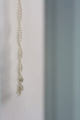 white telephone cord hanging against wall