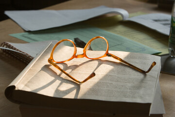 horned rim reading eyeglasses with shadows on top of book 