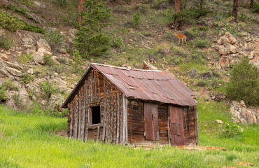 Old Cabin