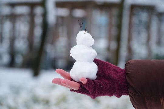 Woman Hand Holding Snowball In Her Hands. Woman Building Snowman With Her Hands